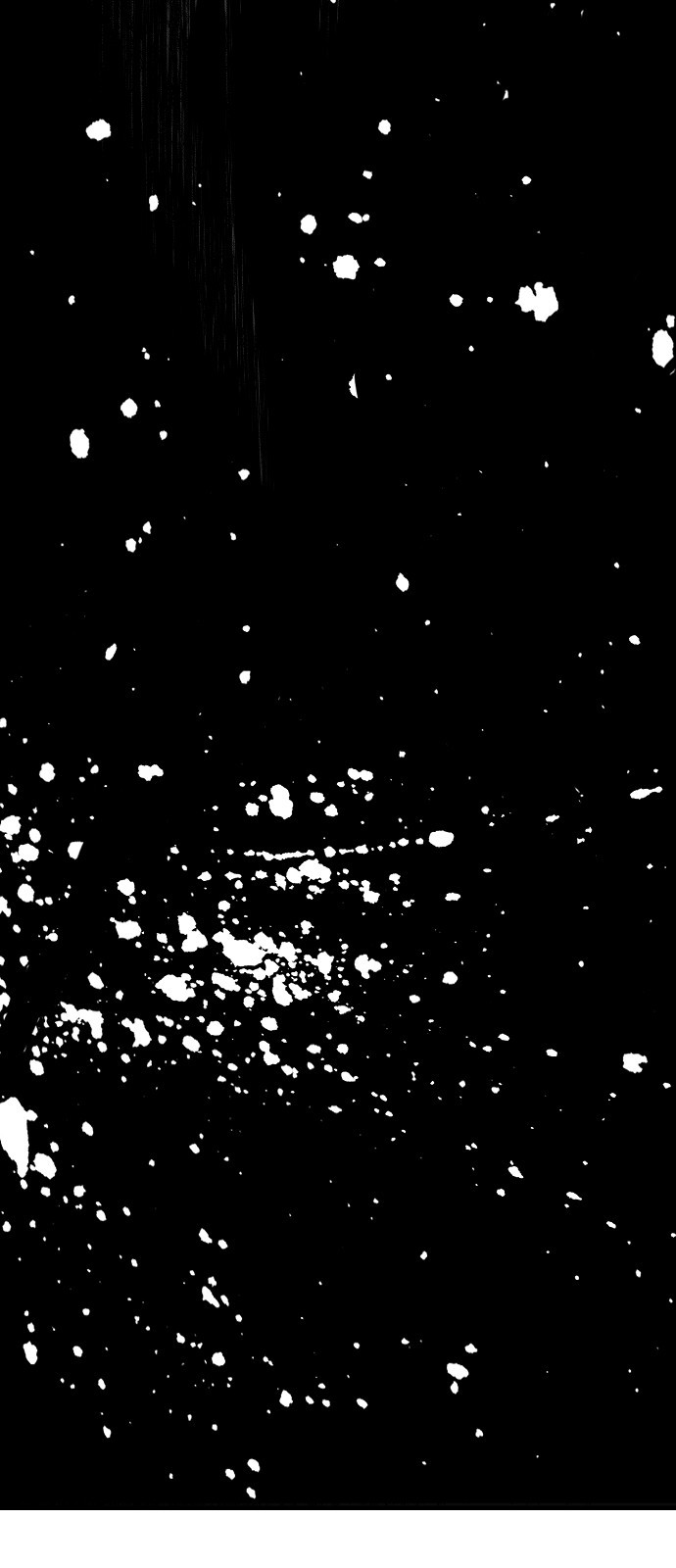 0083_0060.jpg