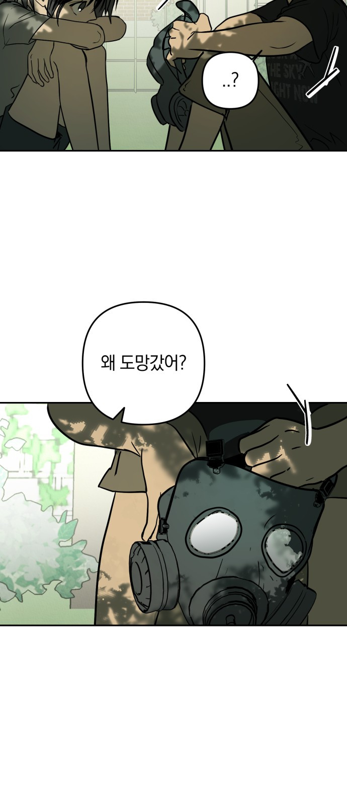 0017_0019.jpg
